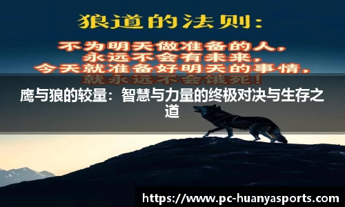 鹰与狼的较量：智慧与力量的终极对决与生存之道